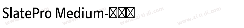 SlatePro Medium字体转换